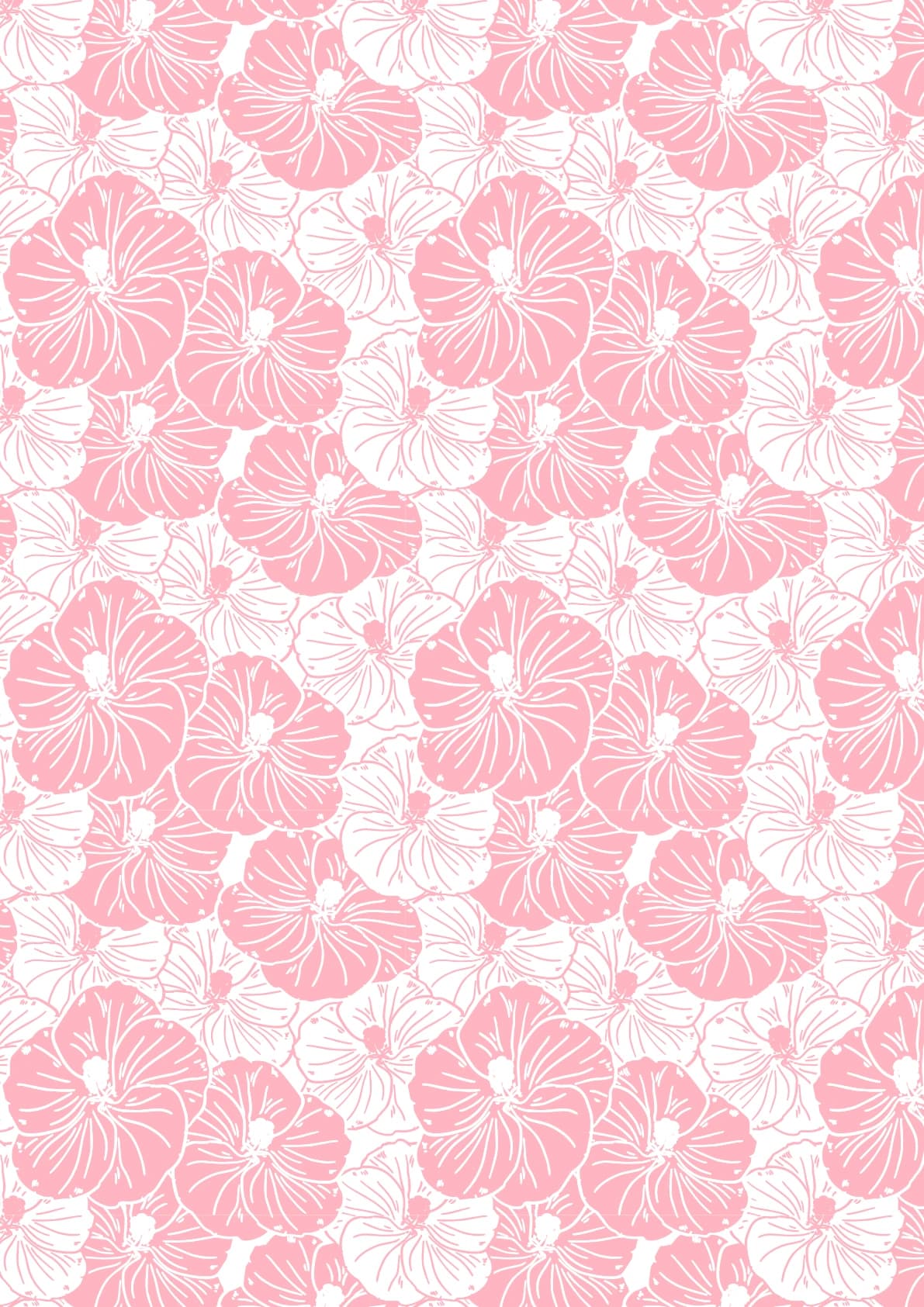 Pink Hibiscus